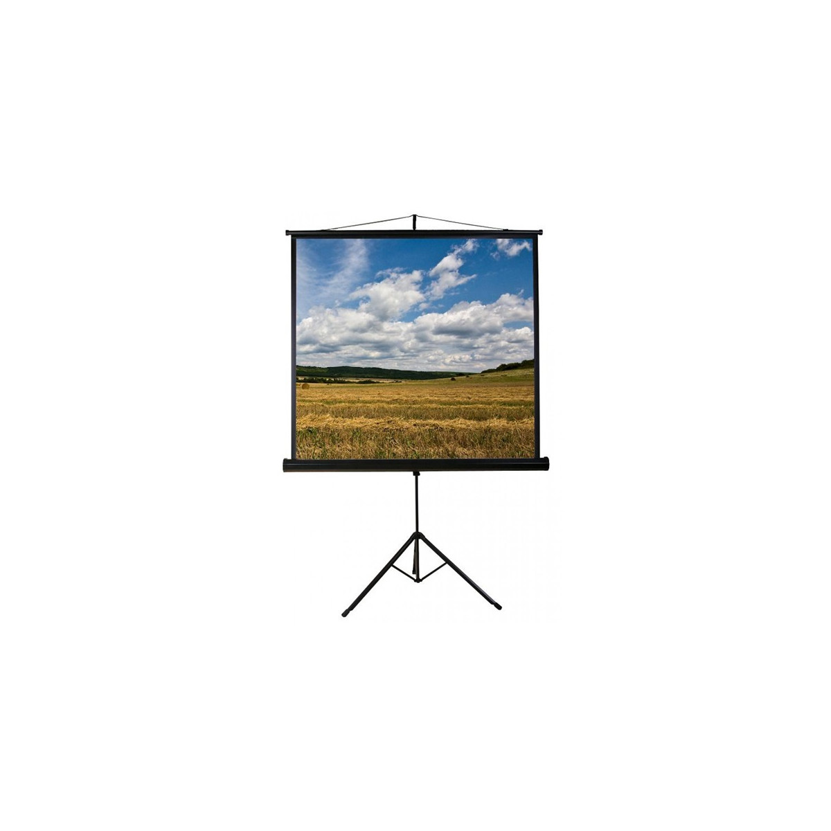 Image of FUNSCREEN 100" (1:1) manuális hordozható vetítővászon (Tripod, Méret: 180x180 cm, Látható méret: 176x176 cm)