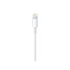 Kép 2/4 - APPLE Lightning to USB cable (1 m)