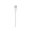 Kép 4/4 - APPLE Lightning to USB cable (1 m)