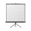 Kép 1/2 - REFLECTA Vászon, Tripod CrystalLine 240x240cm, matte white (1:1)