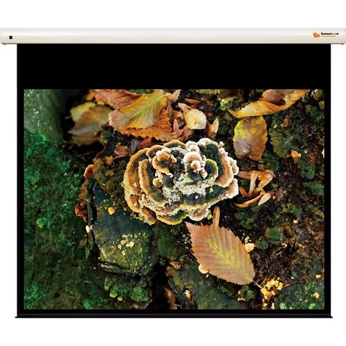 FUNSCREEN 108" (4:3) Premium Plus motoros vetítővászon,  Méret: 231x171 cm, Látható méret: 221x166 cm)